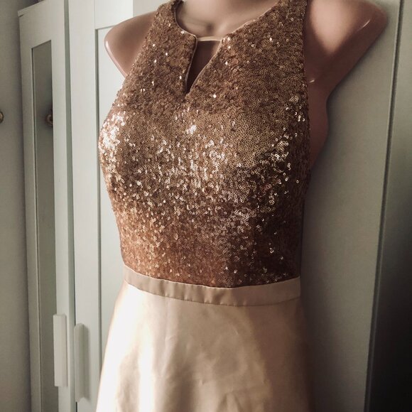 Christina Wu Celebration Formal Dress Size 10 | Sequin Top Satin Skirt Blush Gow - Picture 5 of 9